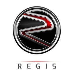[REG R18017] Lève-vitre droit - REGIS MOTORS